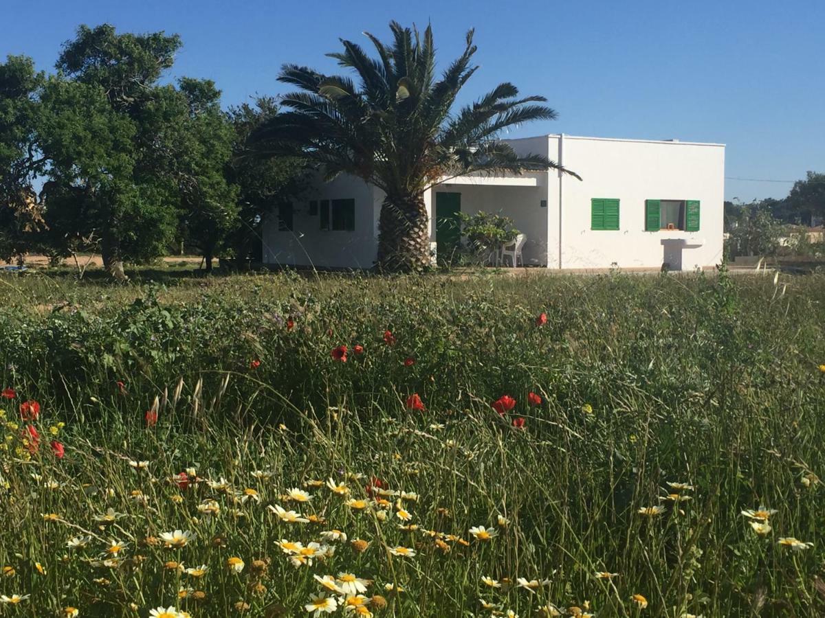 Es Magraner Villa Cala Saona Kültér fotó
